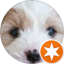 benita reynolds profile picture